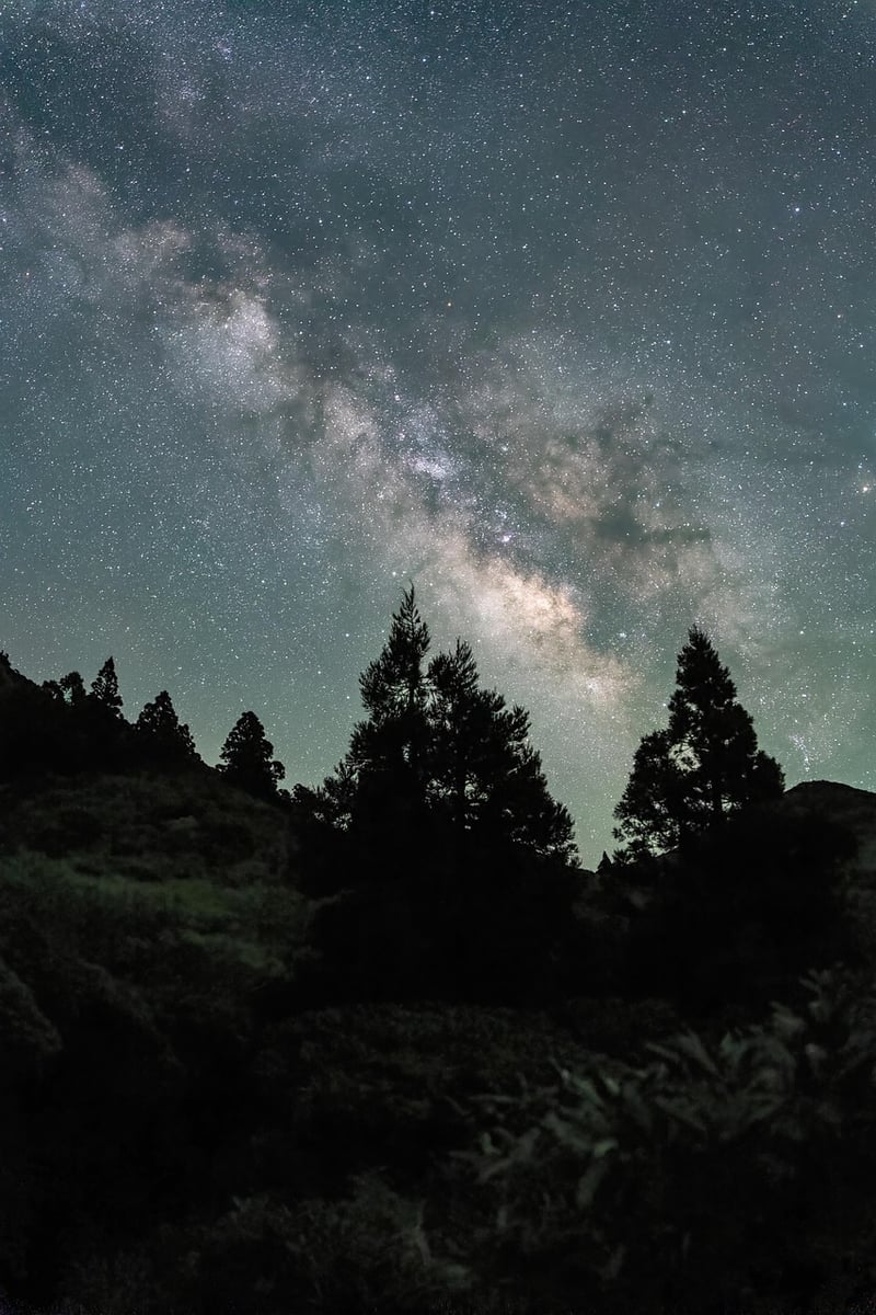 Night Sky Image